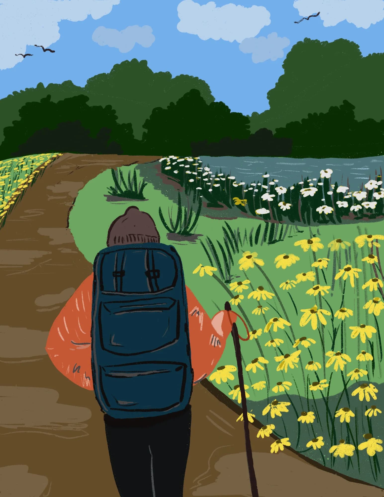 Into the wild