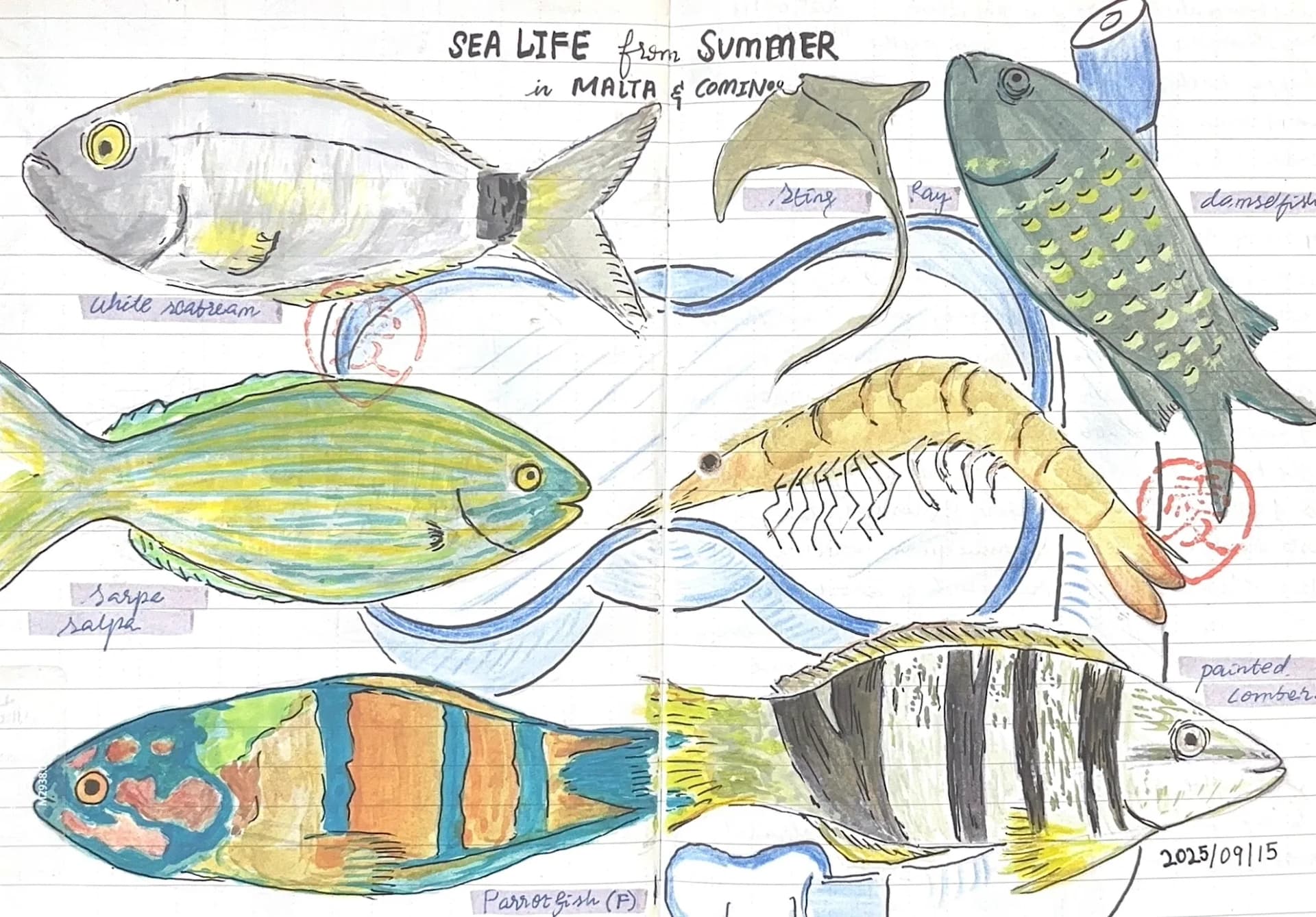 summer fish 2025