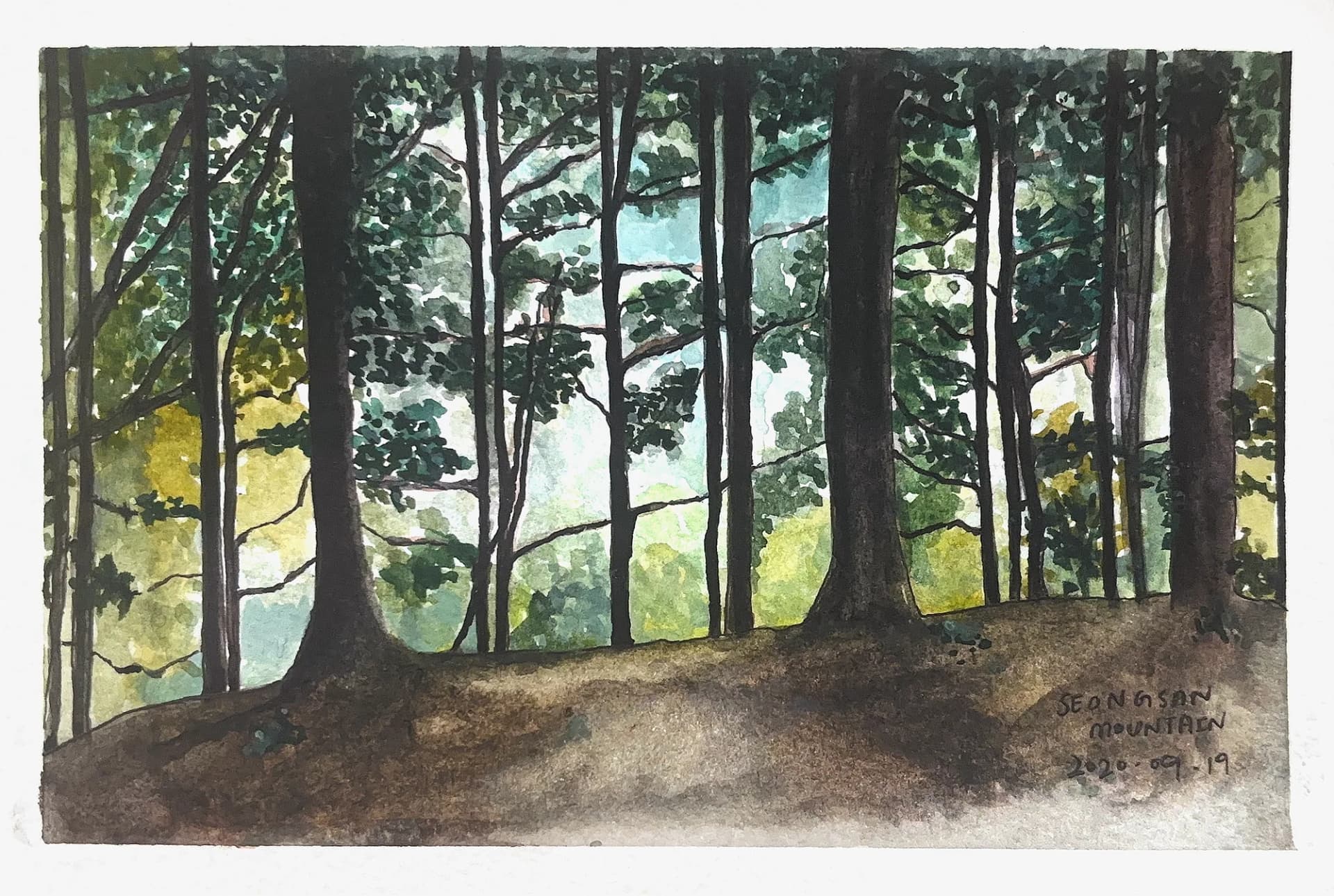 wilderness